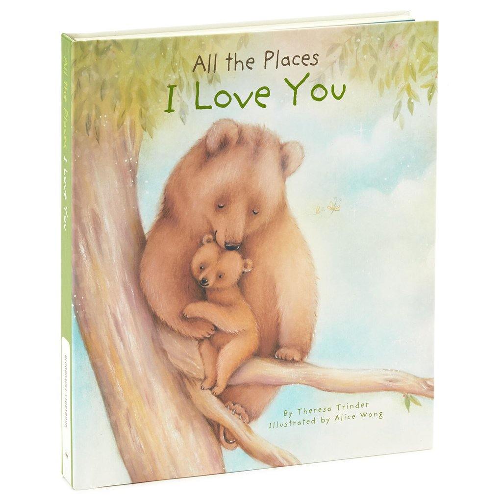 Hallmark  All The Places I Love You Recordable Storybook With Music