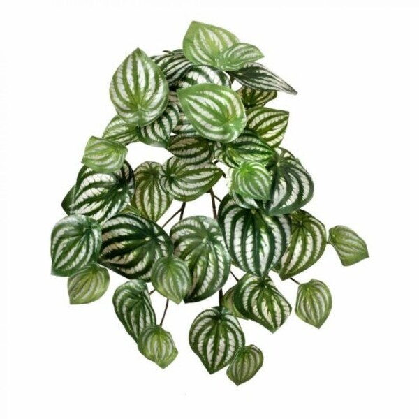 Watermelon Peperomia Bush Faux Plants And Trees