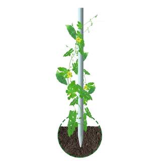 Ecostake Garden Stakes 5 ft. White for Climbing Plants Supports Pole Rust-Free Plant Sticks Fence Post (100-Pack) FS145WH100-WI