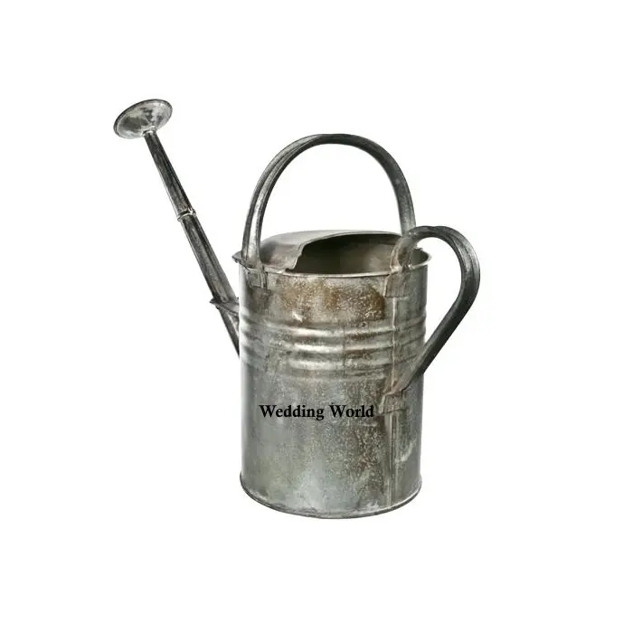 Set Of Two galvanized Water Can High Quality handmade Designer Watering Can Customized Shape fancy Metal Water Can