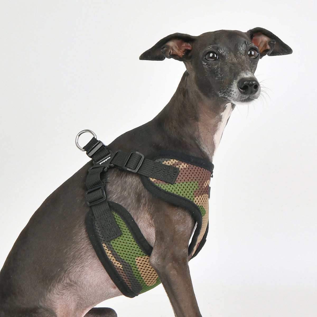 Puppia Soft C Dog Harness