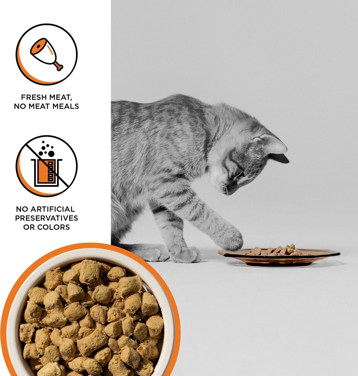 BIXBI RAWBBLE Chicken Recipe Grain-Free Freeze-Dried Cat Food