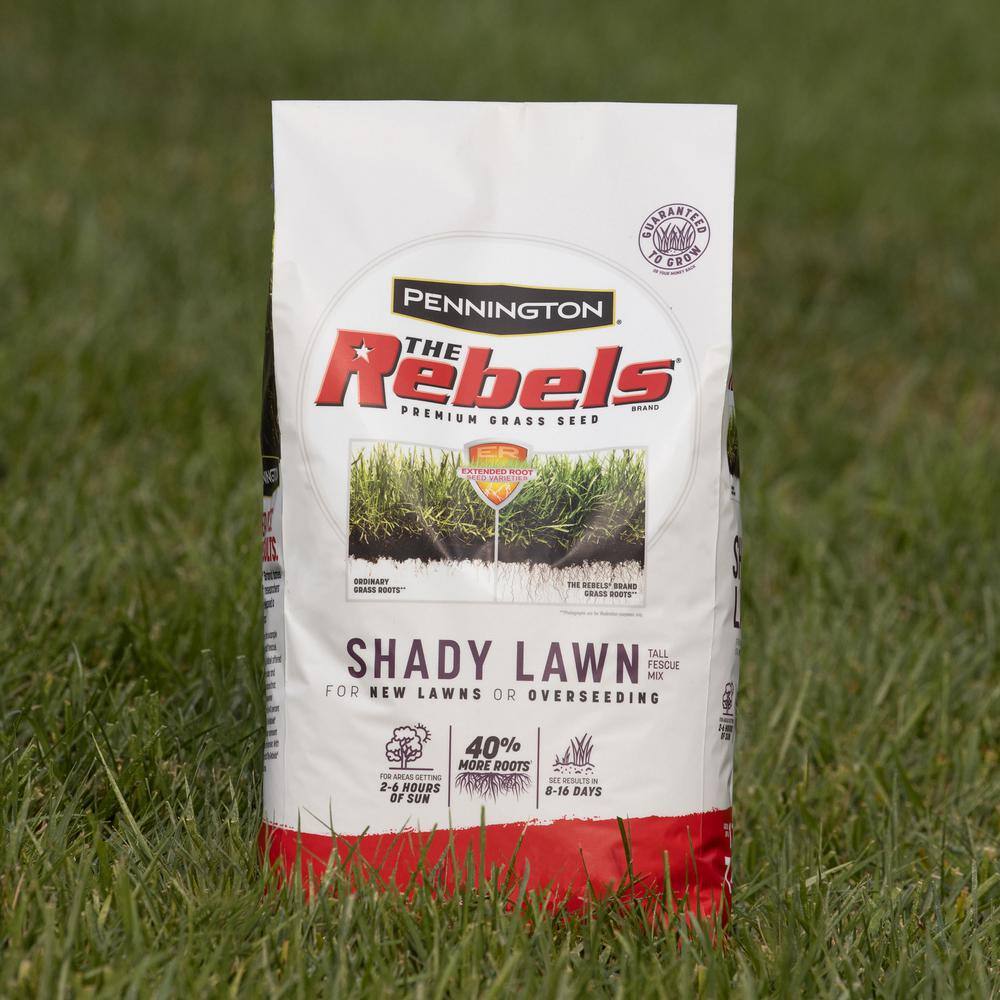 Pennington The Rebels 20 lbs. Shady Lawn Grass Seed Mix 100543727