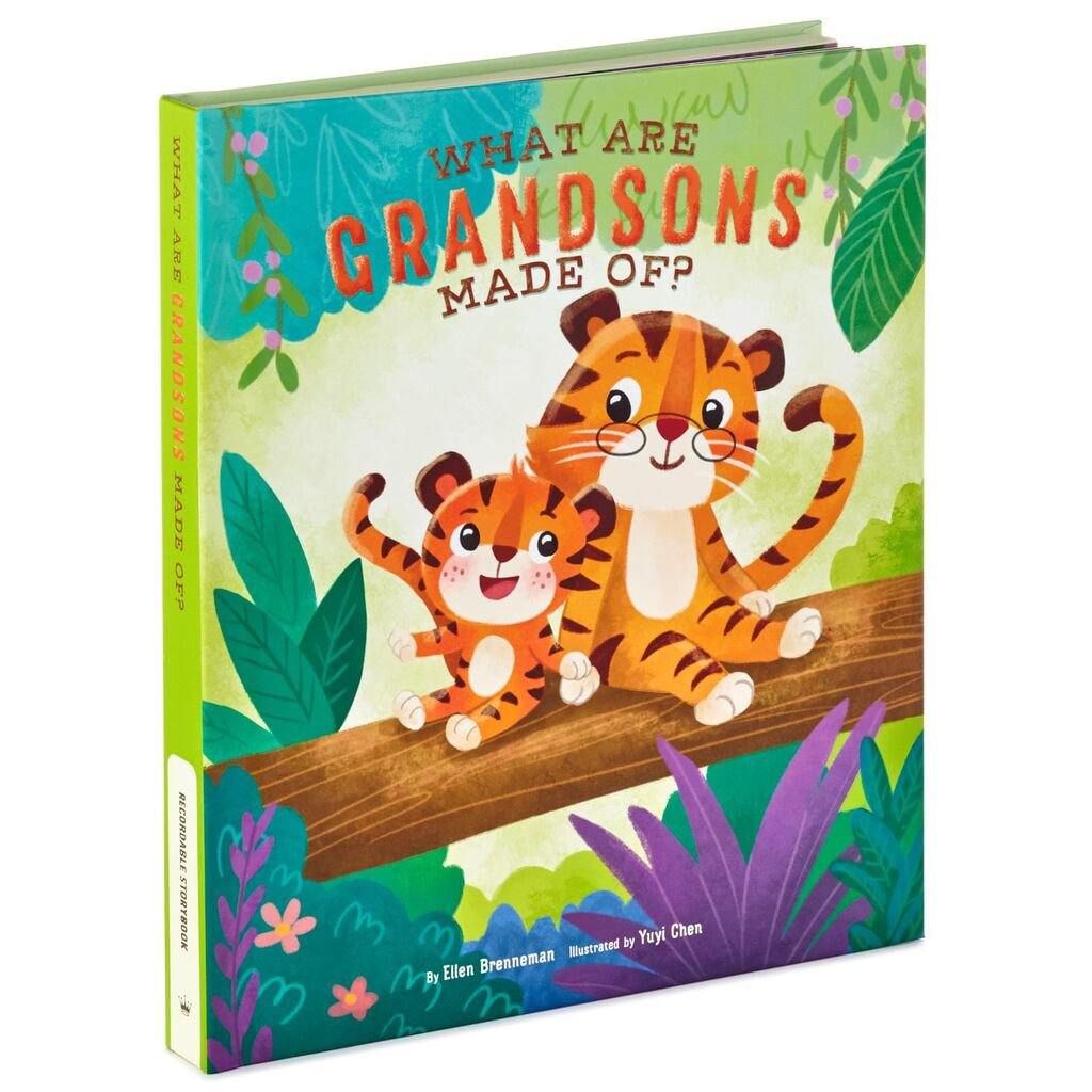 Hallmark  What Are Grandsons Made Of? Recordable Storybook