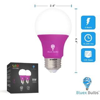 BLUEX BULBS 60-Watt Equivalent A19 Decorative IndoorOutdoor LED Light Bulb in Pink (2-Pack) COLOR-PINK-A19