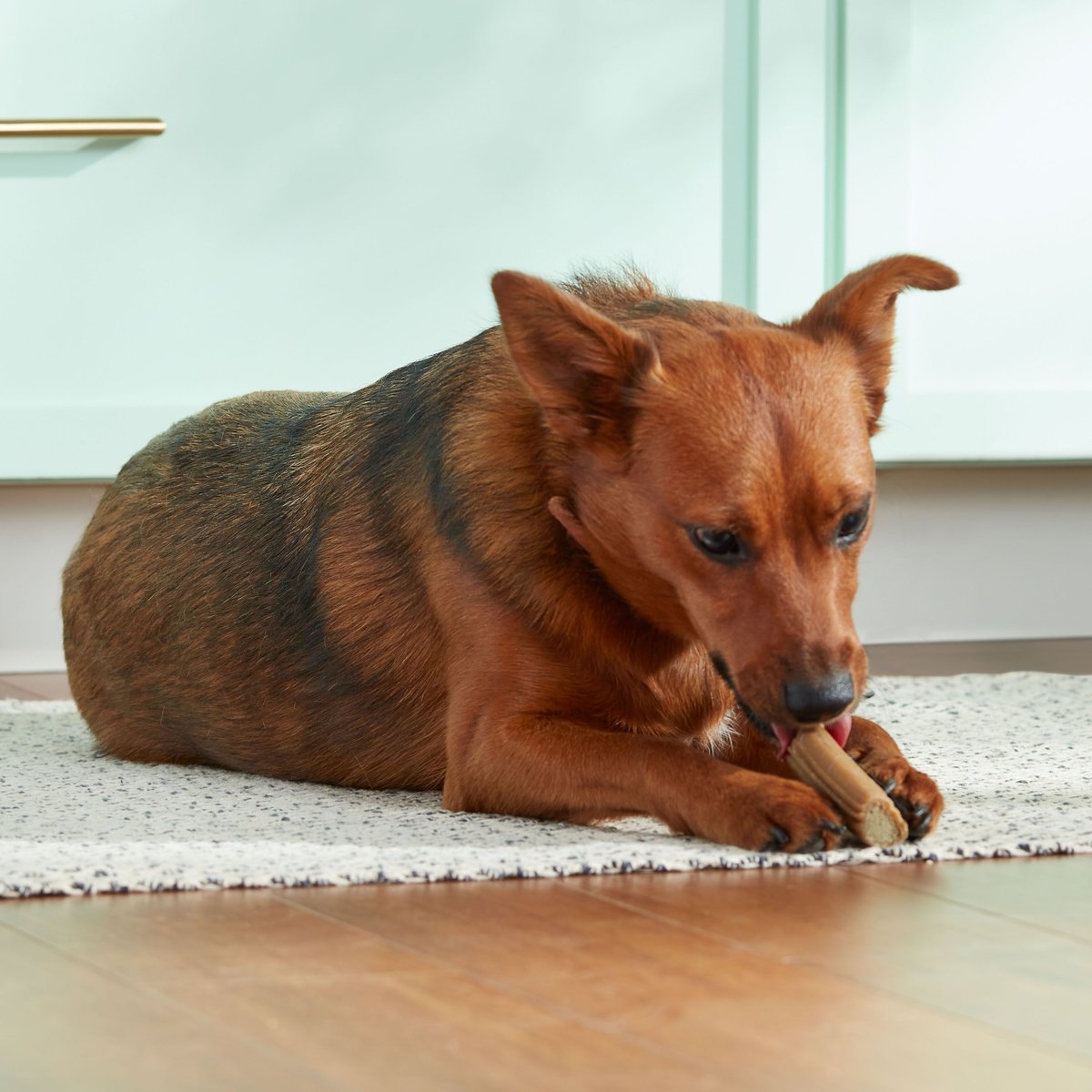 Rachael Ray Nutrish Soup Bones Breath-Freshening Minty w/Real Chicken Dog Dental Chews Treat