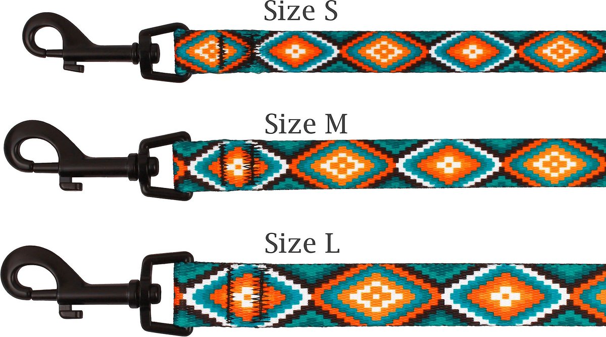 CollarDirect Tribal Aztec Nylon Dog Leash