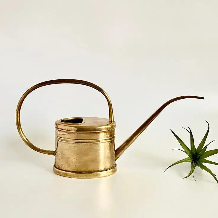 New Aladin Design Metal Watering CAN HOT SALE LONG SPOUT WATERING CAN GARDEN WATERING TOOLS WITH SHOWER ROSE