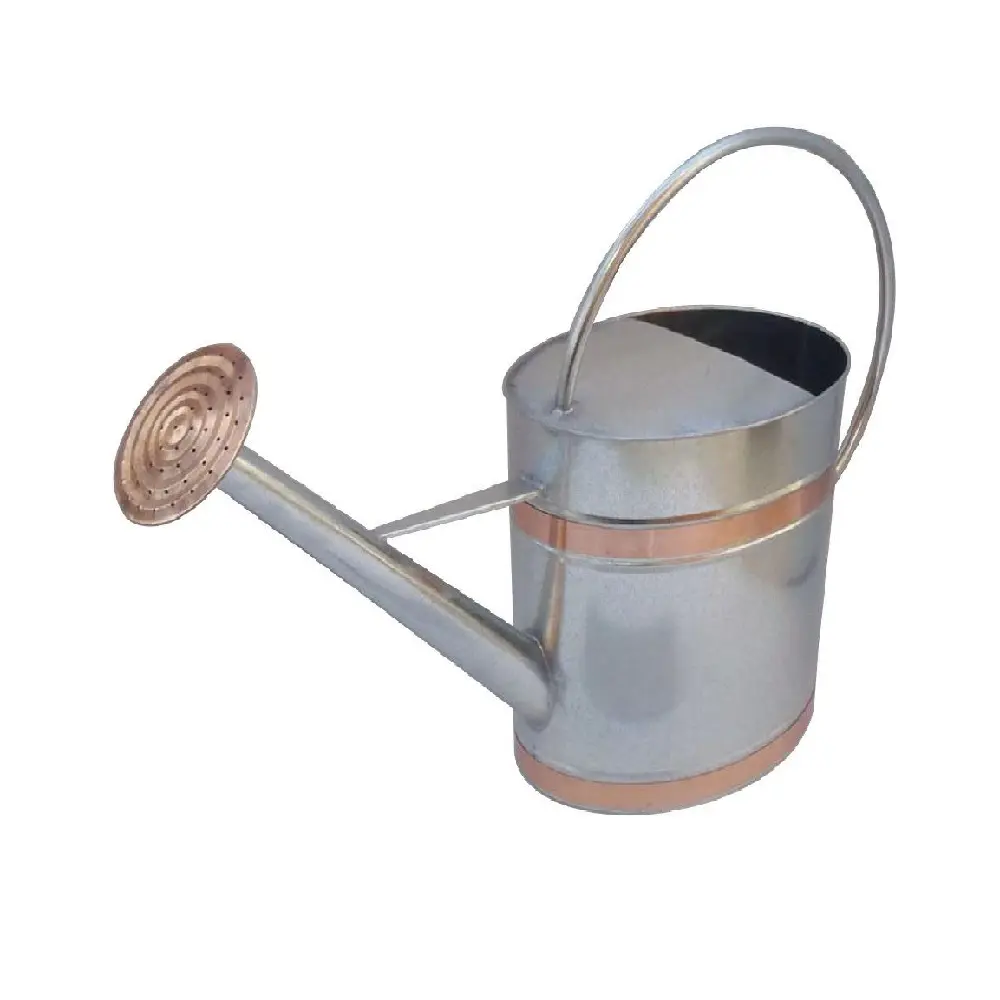 Supplies of Galvanized Handmade Water Can Big Size Blue Powder Coated Best Water Can Handmade Inexpensive Luxury Watering Can