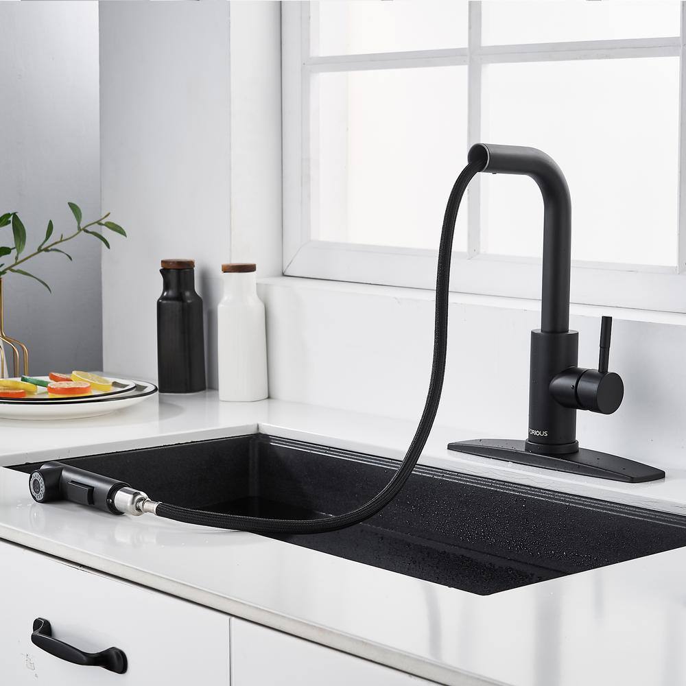 FORIOUS Single-Handle Kitchen Sink Faucet with Pull Down Sprayer Kitchen Faucet in Black HH0025B