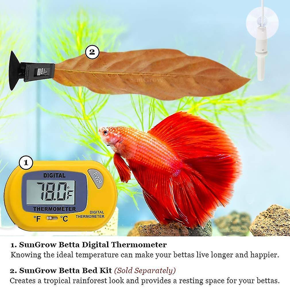 Digital Thermometer， Accurately Reads Aquarium Temperature With Suction Cup