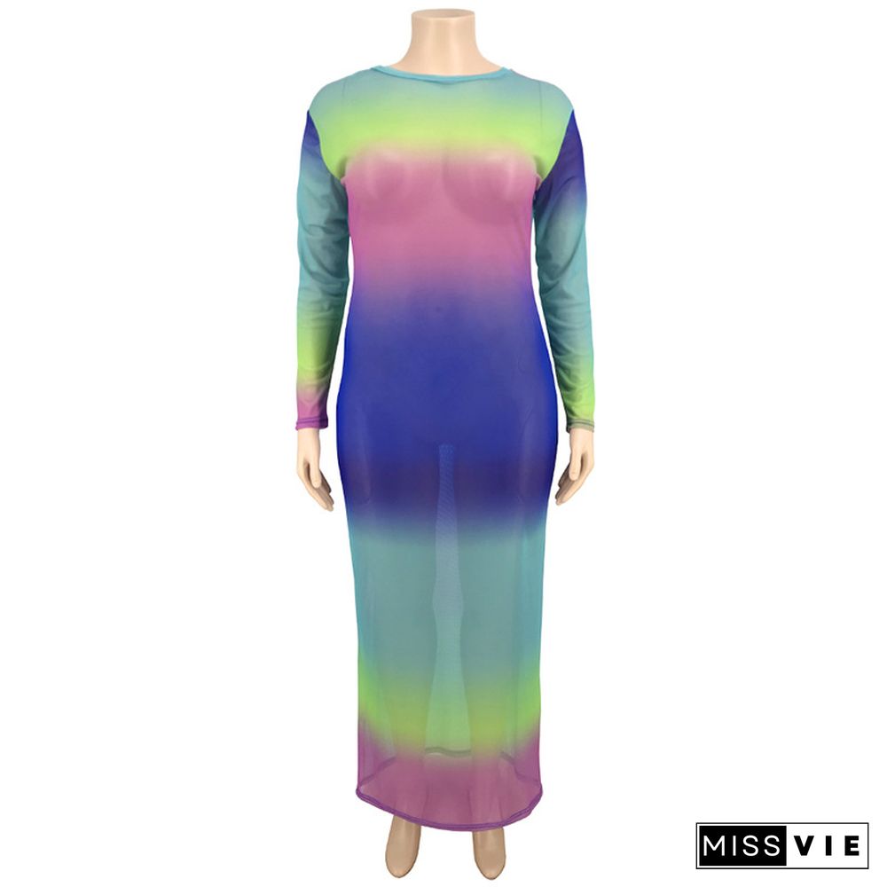 Colorful Printed Mesh Full Sleeves Skinny Plus Size Maxi Dress