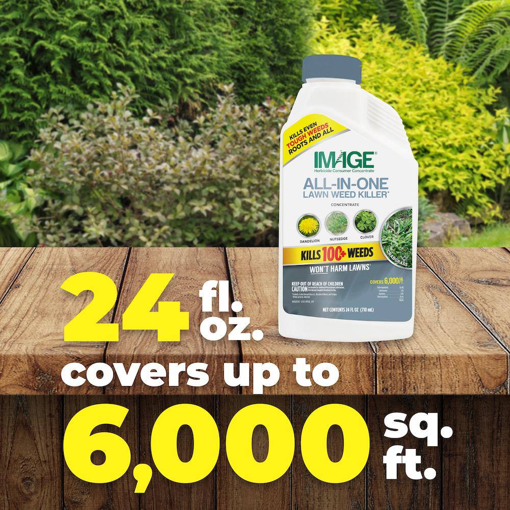 IMAGE Herbicides All-In-One Lawn Weed Killer Concentrate