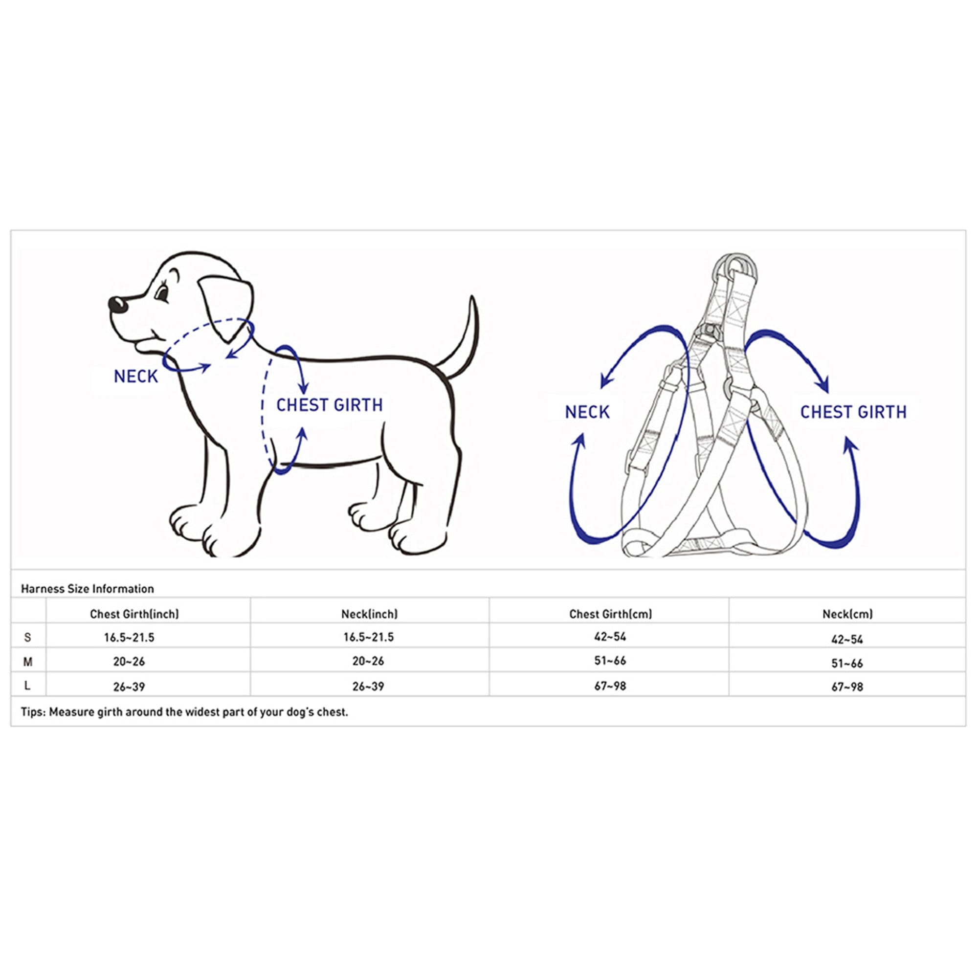 Blueberry Pet Essentials Minty Green Reflective Back to Basics Adjustable Dog Harness， Medium