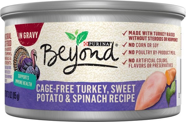 Purina Beyond Cage-Free Turkey， Sweet Potato and Spinach Recipe in Gravy Canned Cat Food