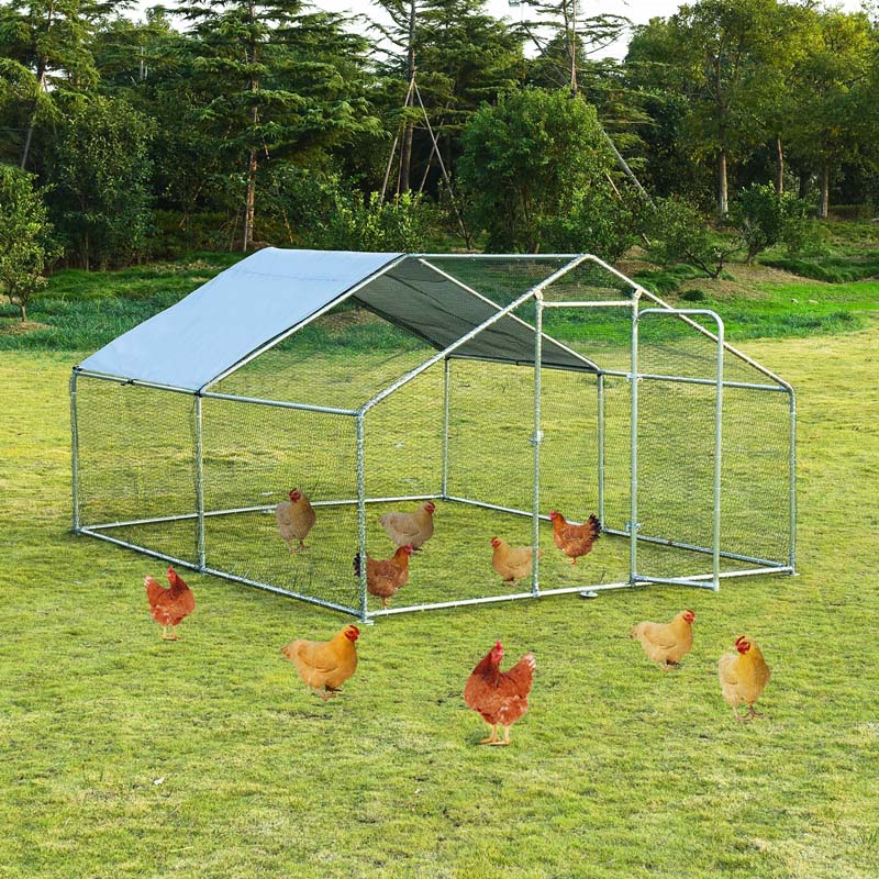 10' x 13' x 6.5' Galvanized Metal Large Walk-in Chicken Coop Cage Runs Hen House with Cover & Lockable Door