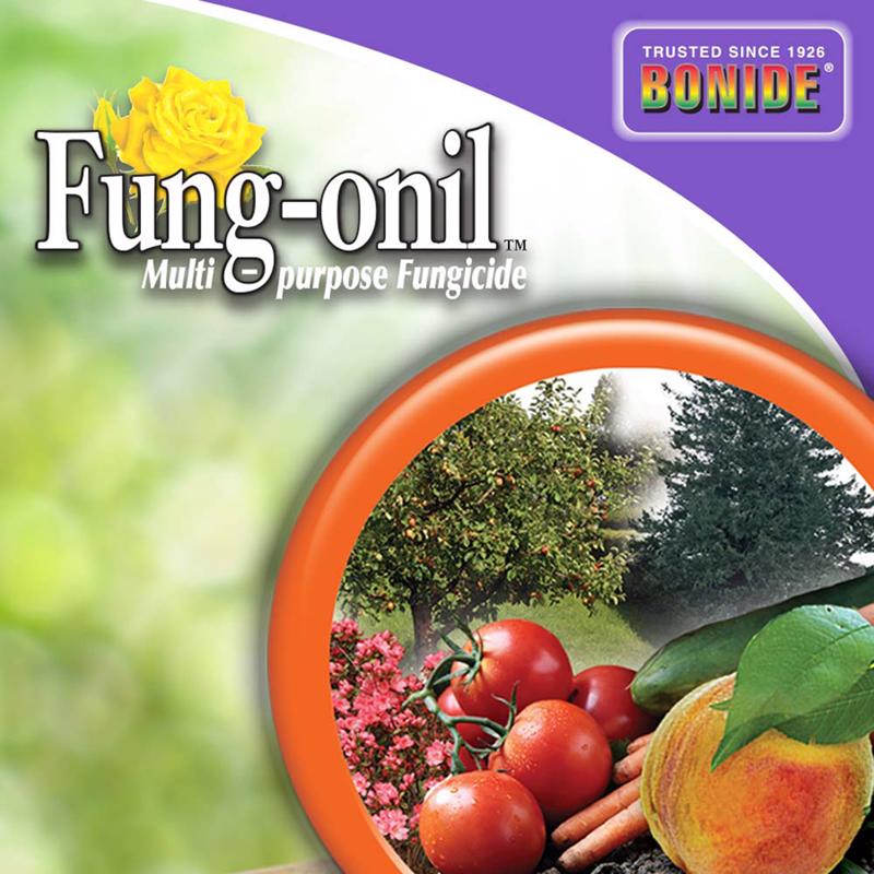 FUNG-ONIL CONC 16OZ