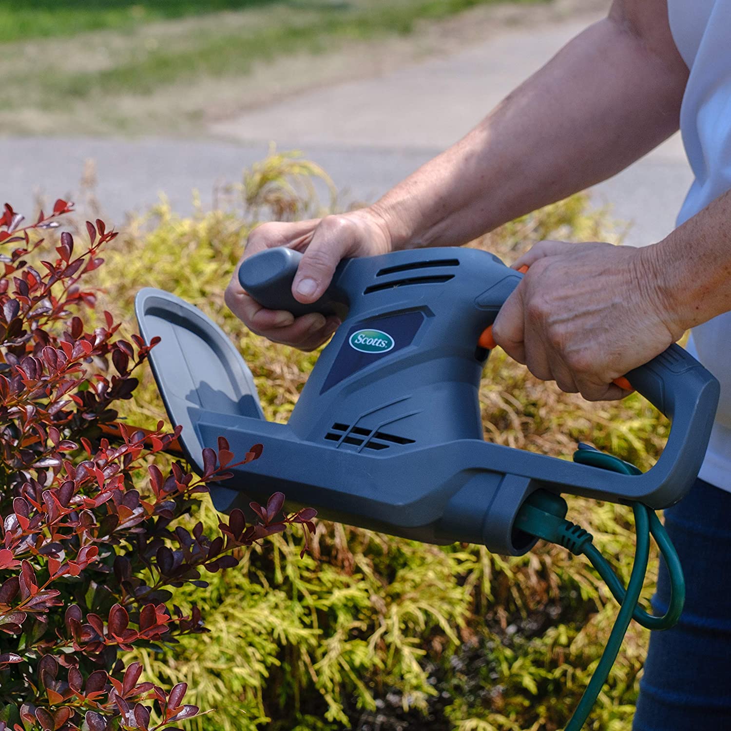 Hedge Trimmer #1