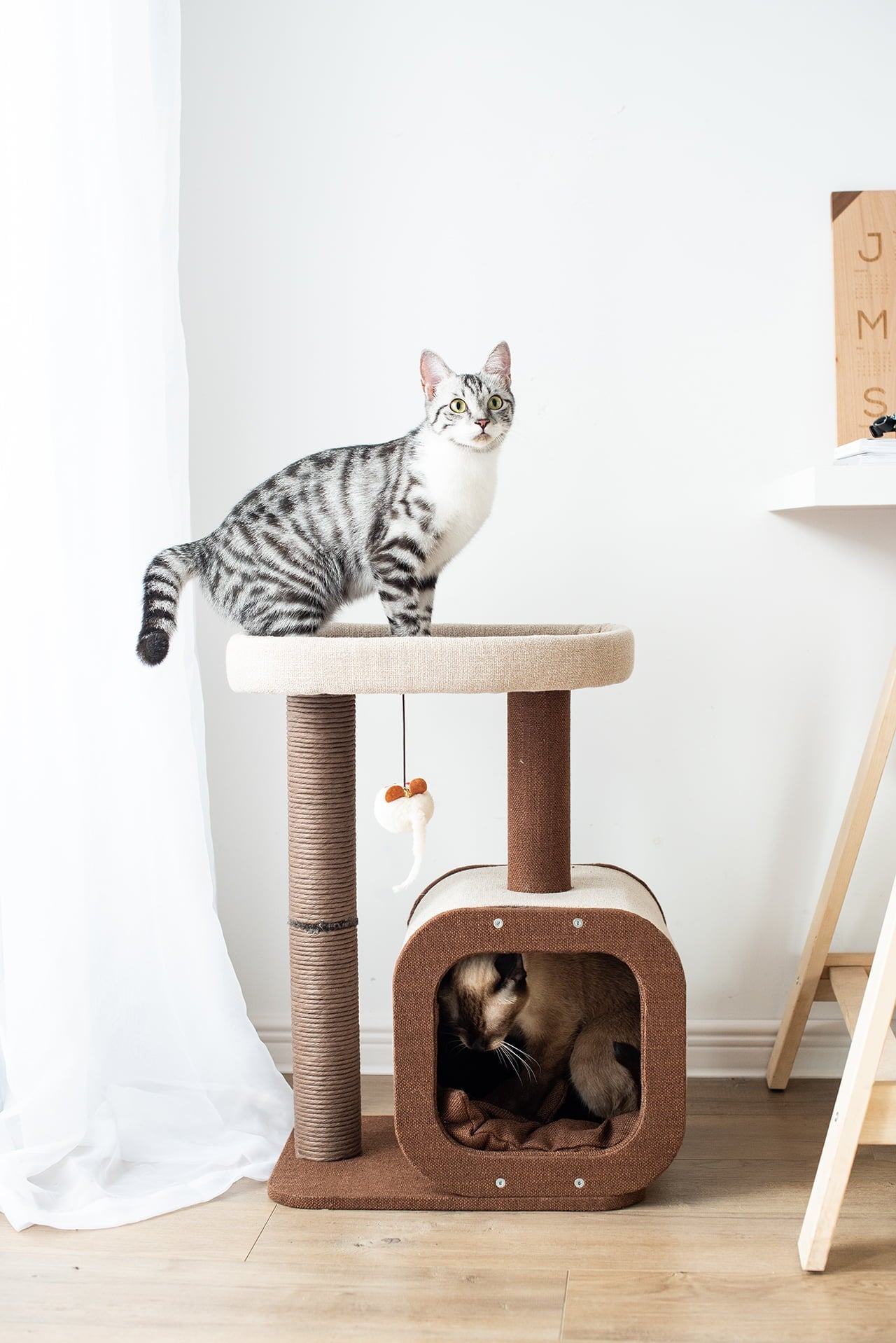 Catry 23" Condo Brown & Beige Cat Tree with Scratching Post Play House Indoor Multi-Level Climbing Cat Furniture w/ FREE Cat Teaser for Easter