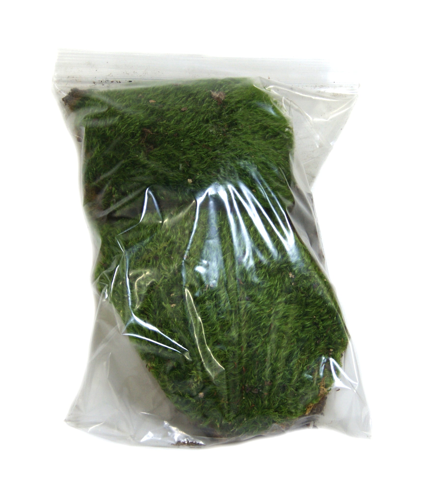 Josh's Frogs Dried Mood Moss (1 Gallon Bag)