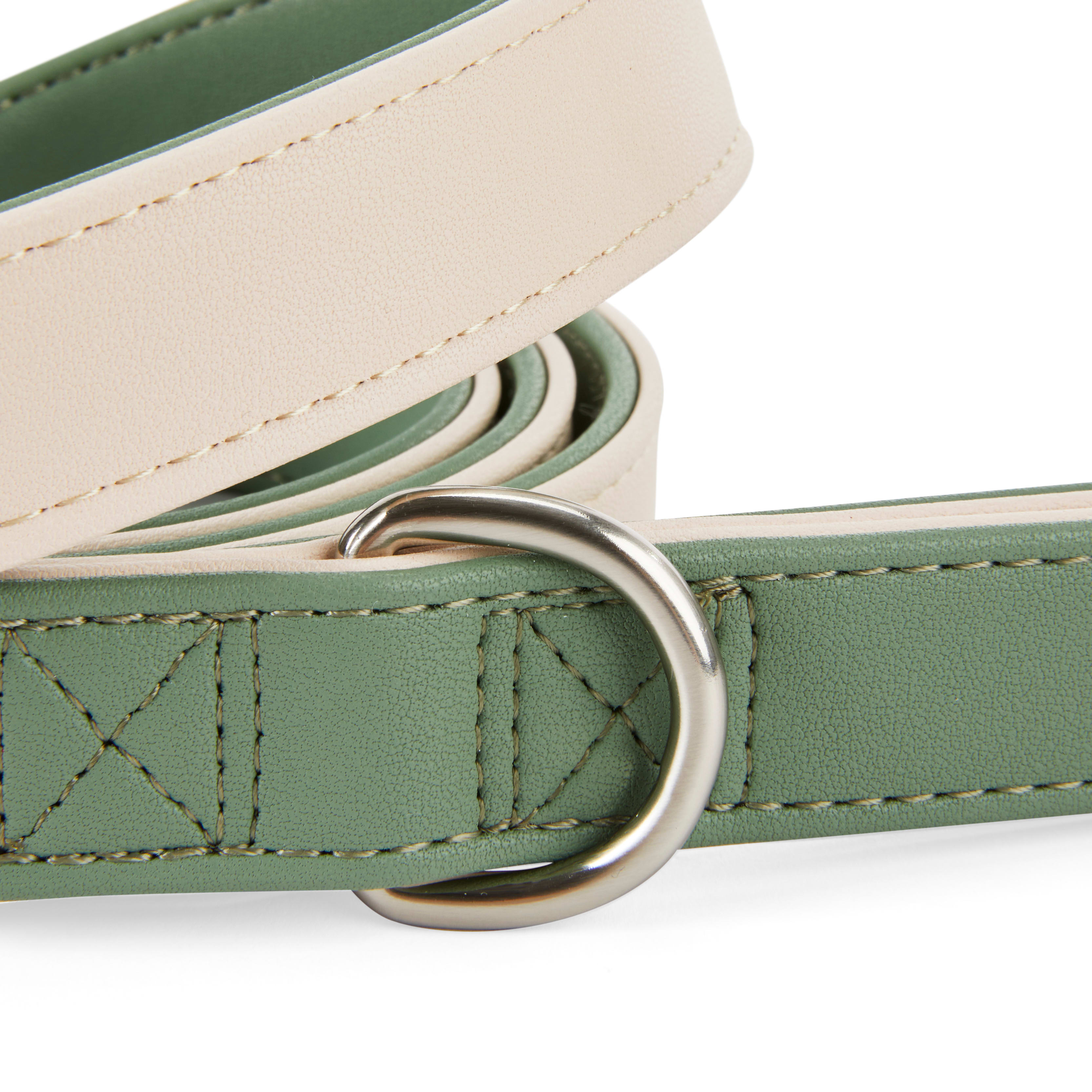 YOULY The Heir Green  Tan Dog Leash， 6 ft.