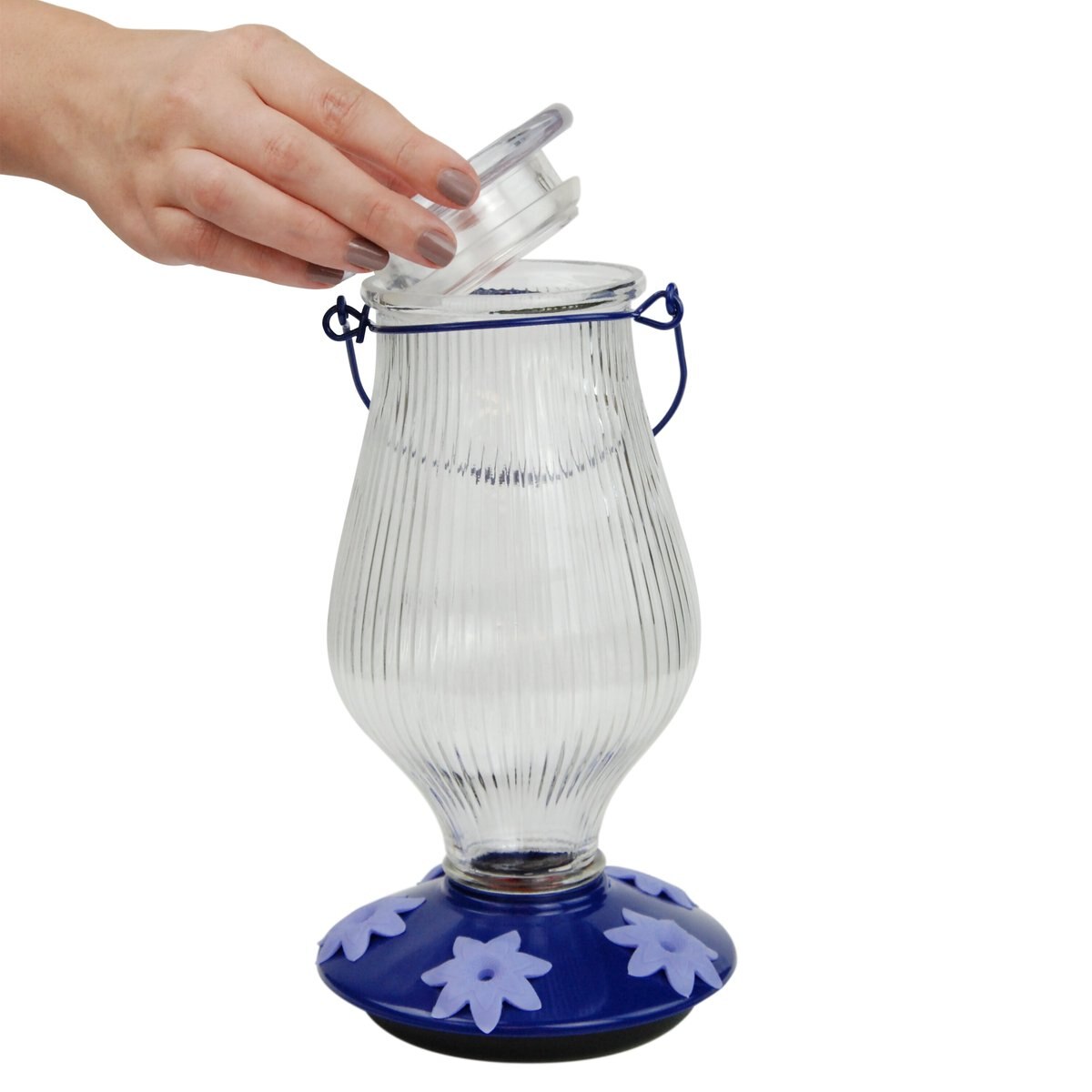 Perky-Pet Oasis Top-Fill Glass Hummingbird Feeder