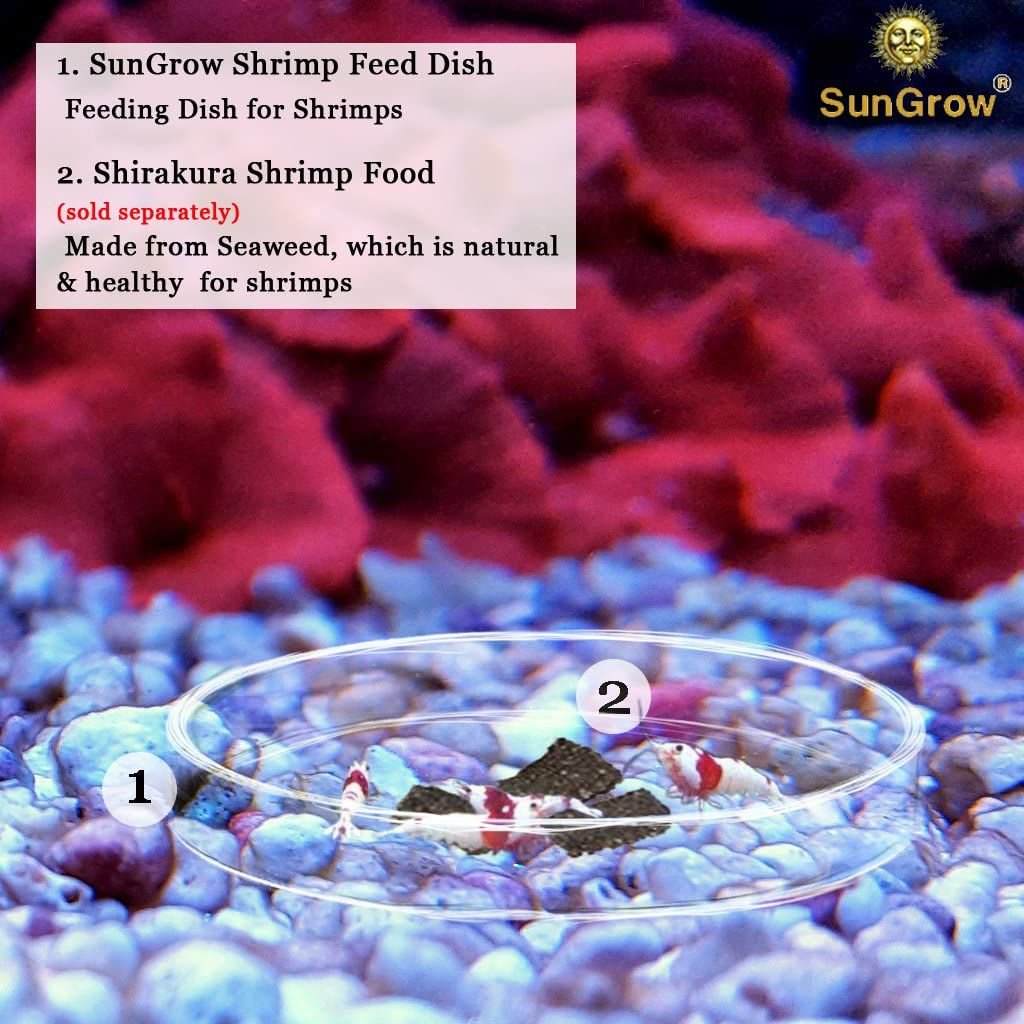 SunGrow Bottom Feeder and Shrimp Feeding Dish， Sinking Fish Food and Reptile Water Bowl