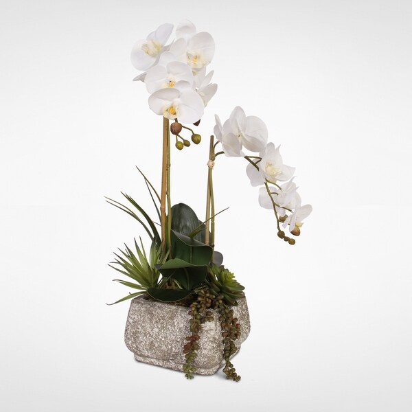 Real Touch Phalaenopsis Orchids with Succulents in a Concrete Pot