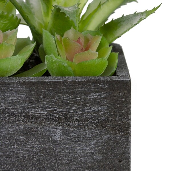 10 Artificial Mixed Succulent Plants in a Rectangular Planter