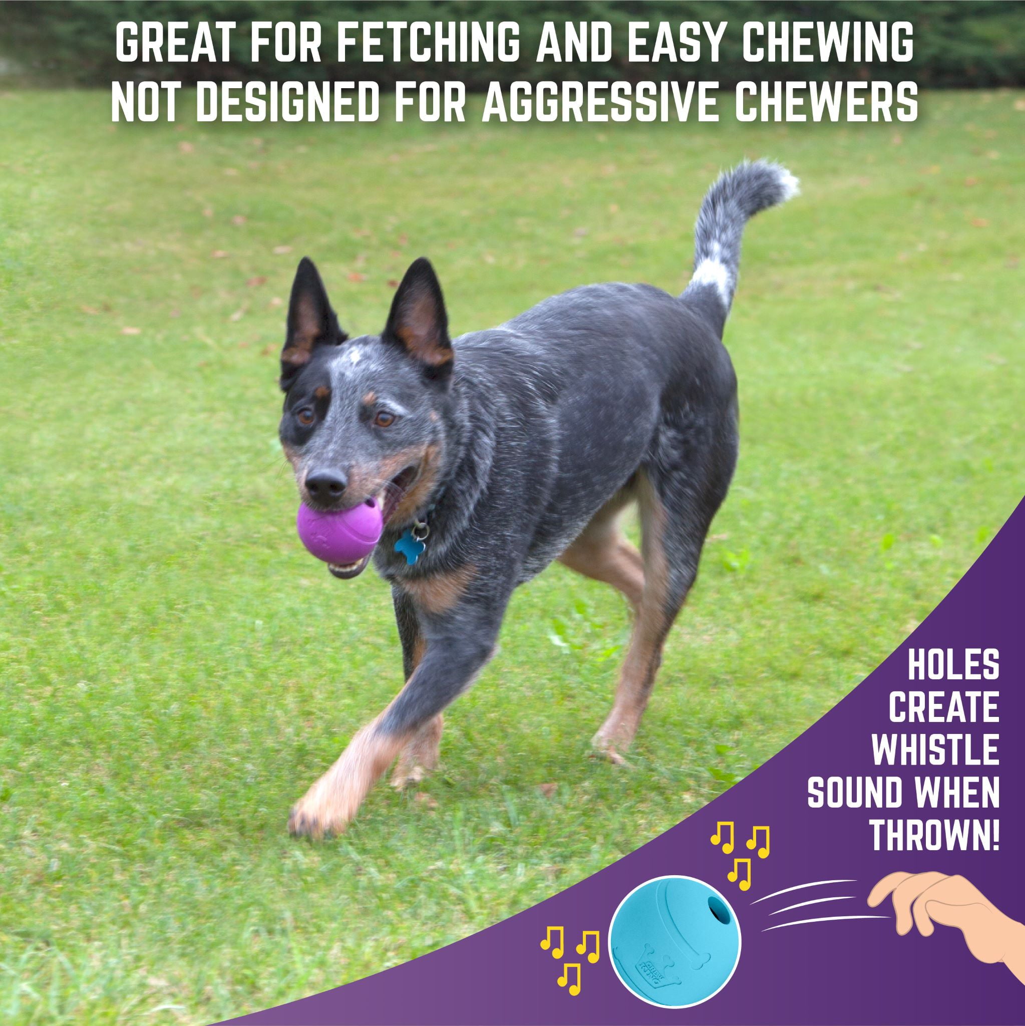 Chew King Fetch Balls Extremely Durable Natural Rubber Toy 3