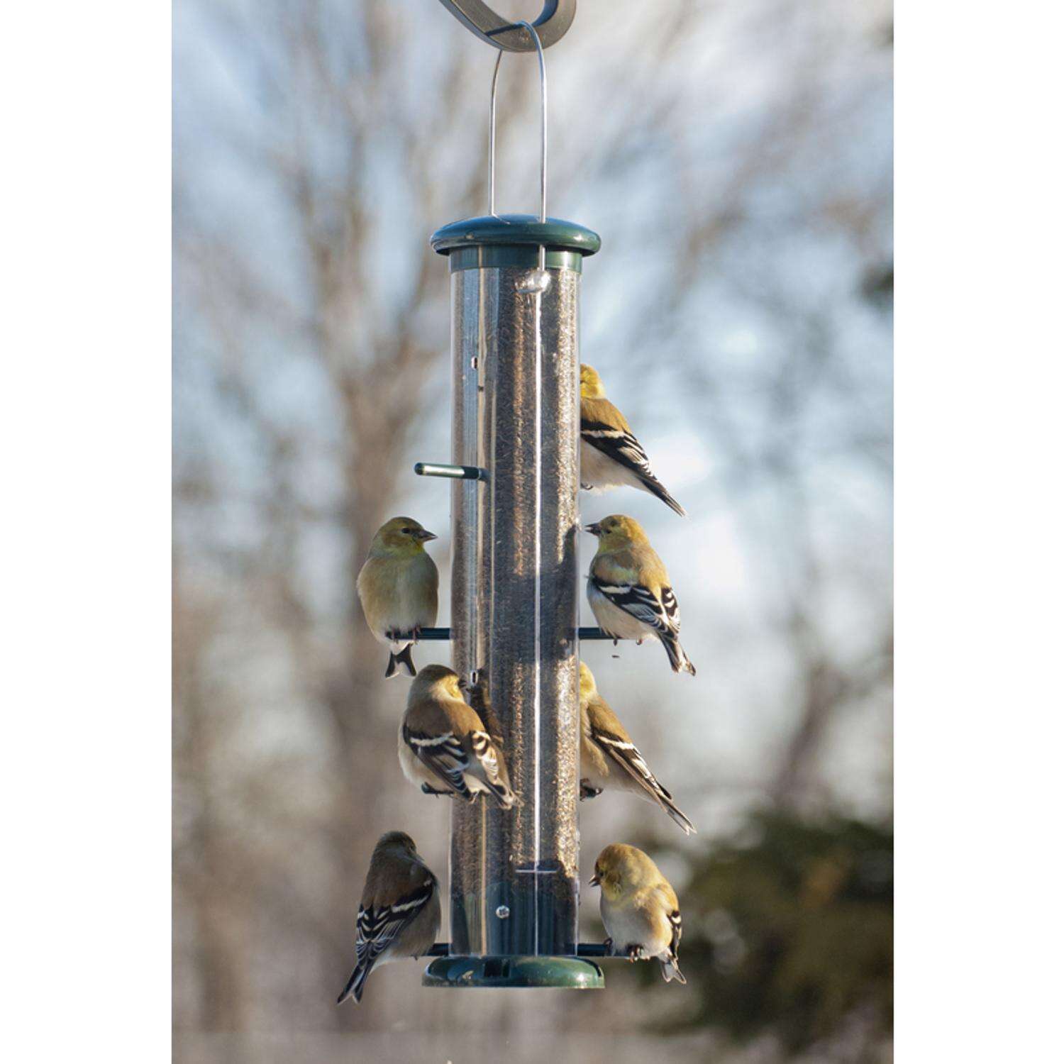 Audubon Finch 2 lb Plastic Thistle Tube Bird Feeder 8 ports