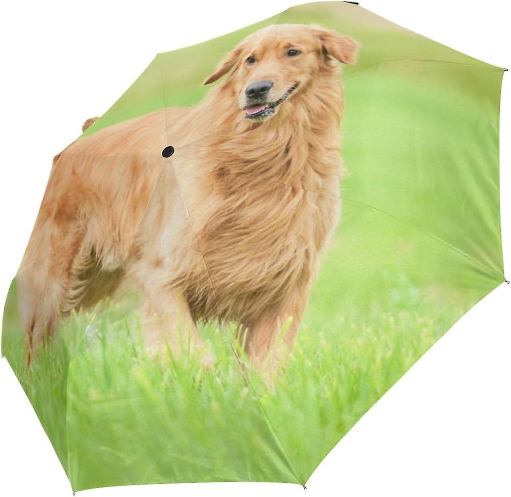 Travel Umbrella Automatic Windproof Foldable Umbrella Golden Retriever Running On Grass