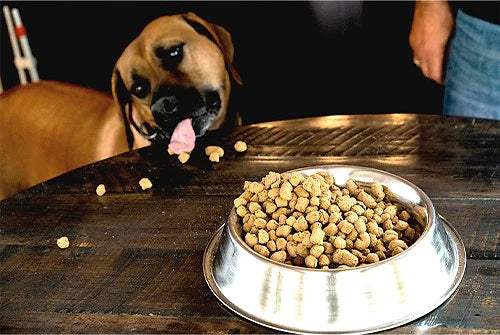 Complete and Balanced Beef Recipe Freeze Dried Dog Food;