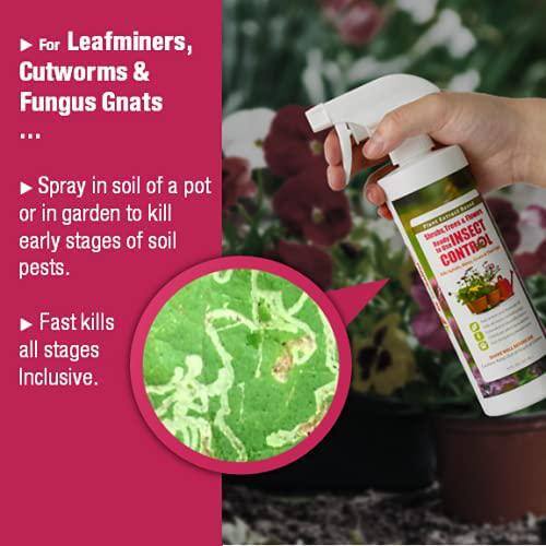 ECOVENGER Garden Insect Control by EcoRaider 16 oz. Aphids Mealybugs Spider Mites Army Worm ChildPet-Safe EV1GM140016