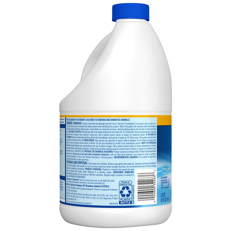 BLEACH REGULAR LQUD 81OZ