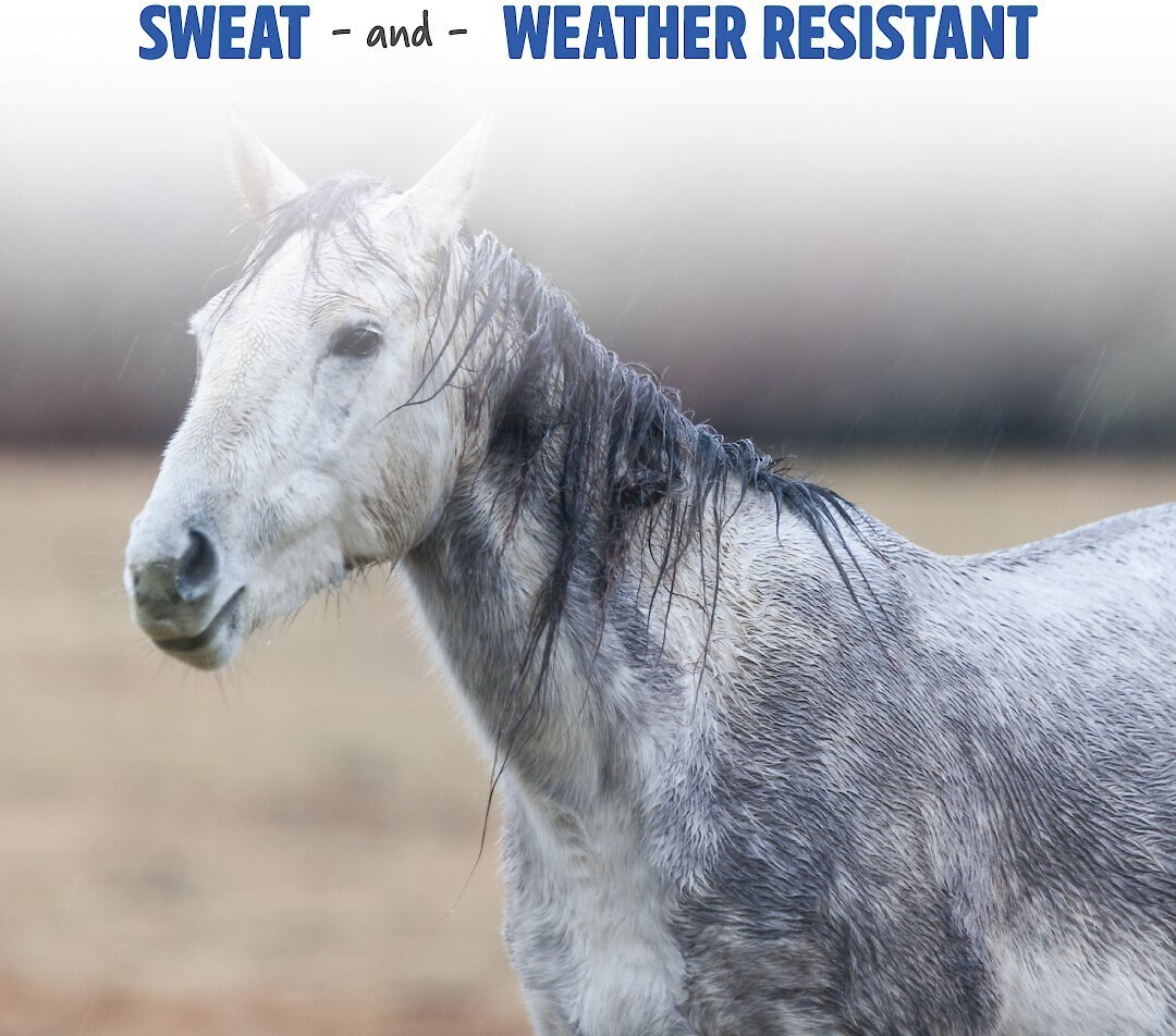 FORCE Opti-Force Sweat Resistant Fly Horse Spray