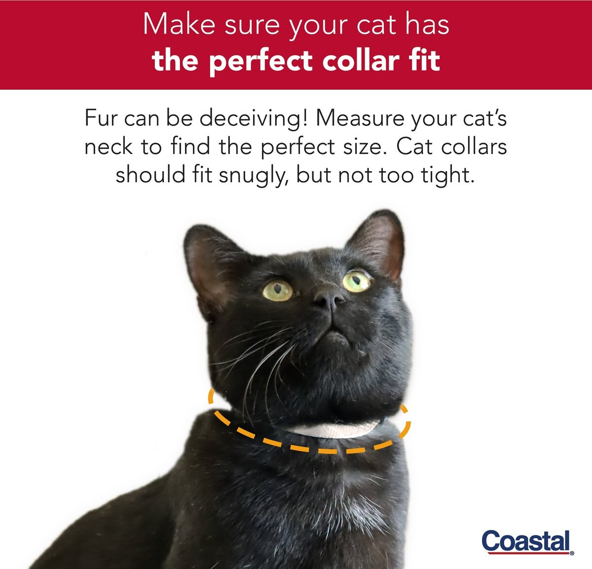 Safe Cat Snag-Proof Polyester Breakaway Cat Collar with Bell