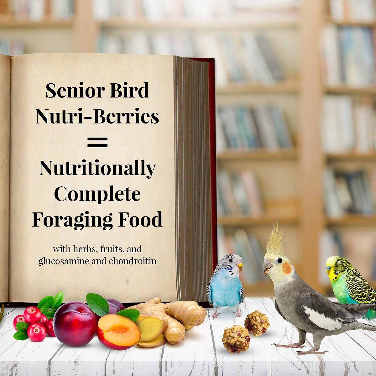 Lafeber Senior Bird Nutri-Berries Parakeet and Cockatiel Bird Food