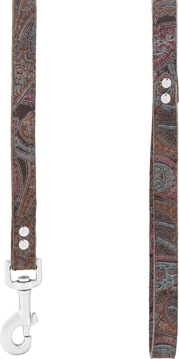 OmniPet Paisley Leather Dog Leash