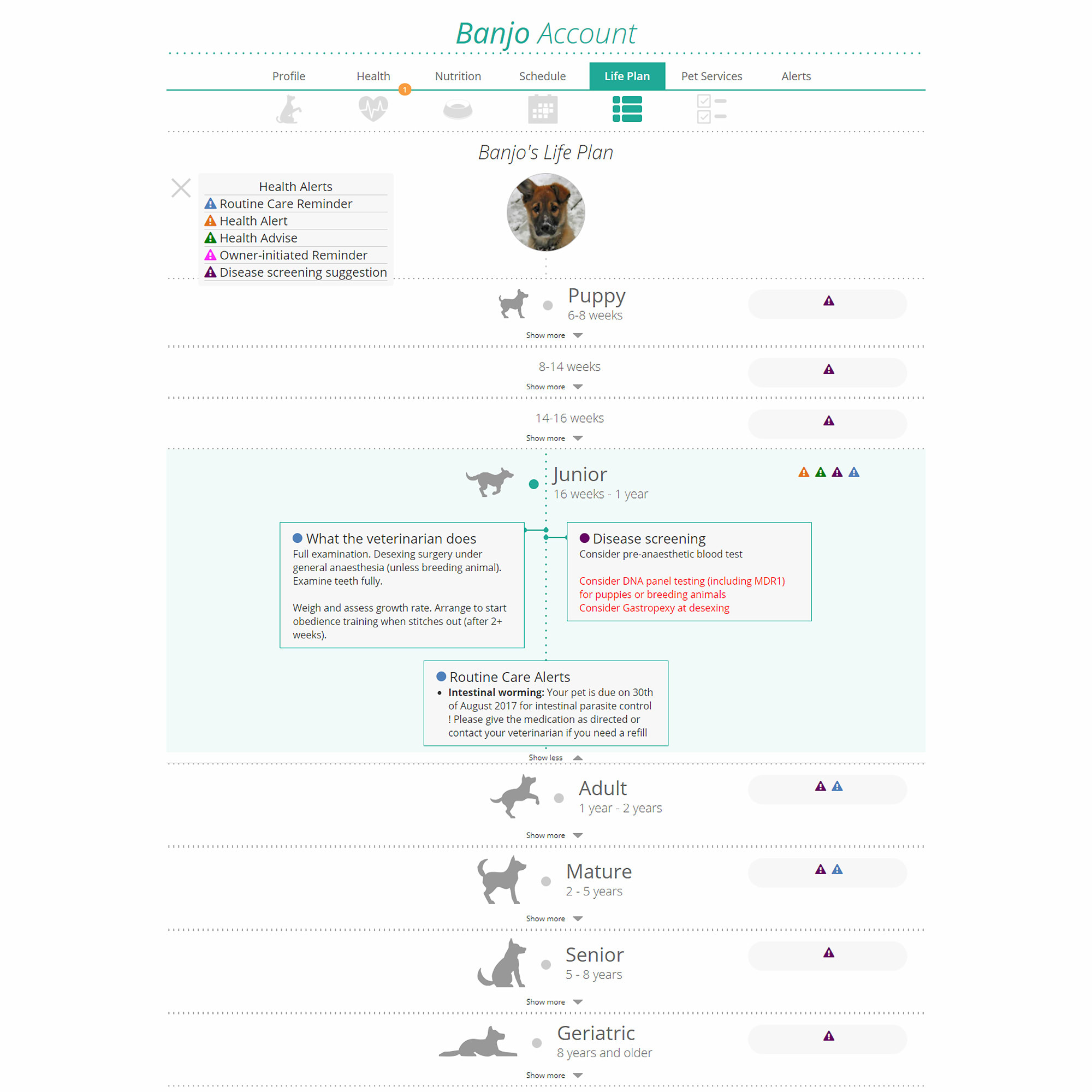 Orivet Dog DNA Health Screen