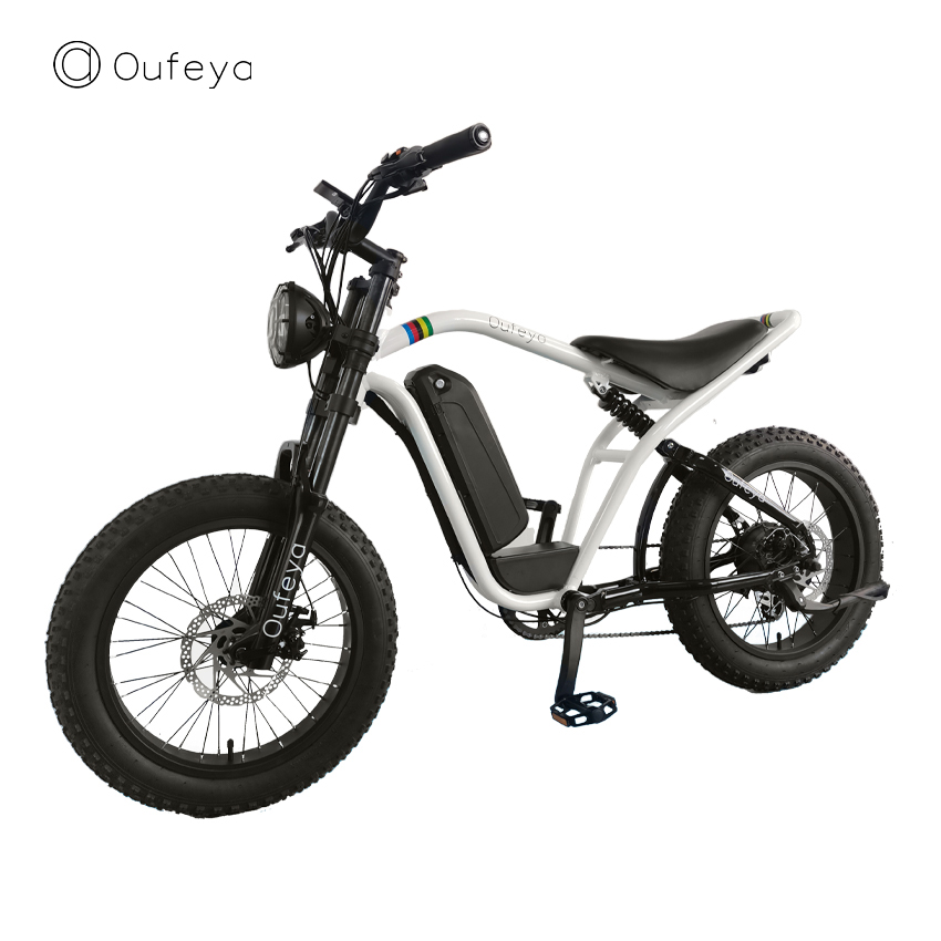 F9 Electric Bike 20 Inch Fat Tire Off Road Ebike 500W 48V Powerful Mountain Electric Bicycle For Adults Cycling E BIKE