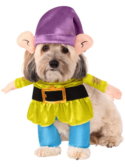 Ruby Slipper Sales 656778 Snow White: Dopey Pet Co...