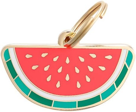 Two Tails Pet Company Personalized Watermelon Dog and Cat ID Tag