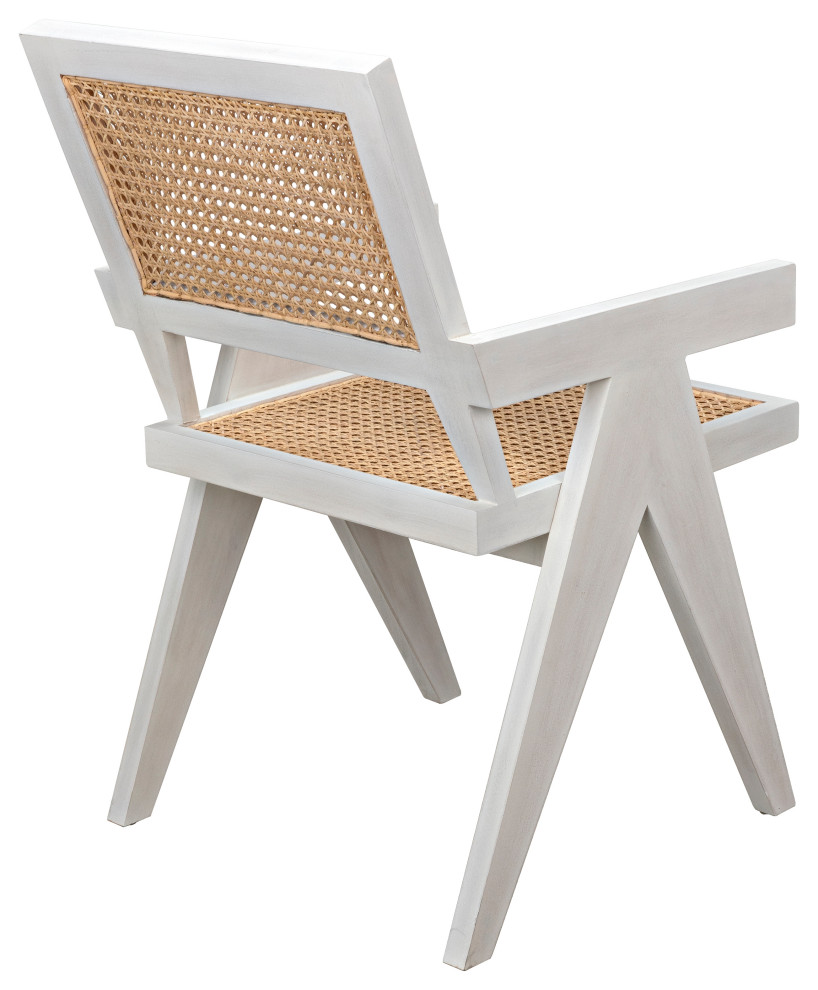 Jude Chair With Caning  White Wash   Tropical   Dining Chairs   by Noir  Houzz