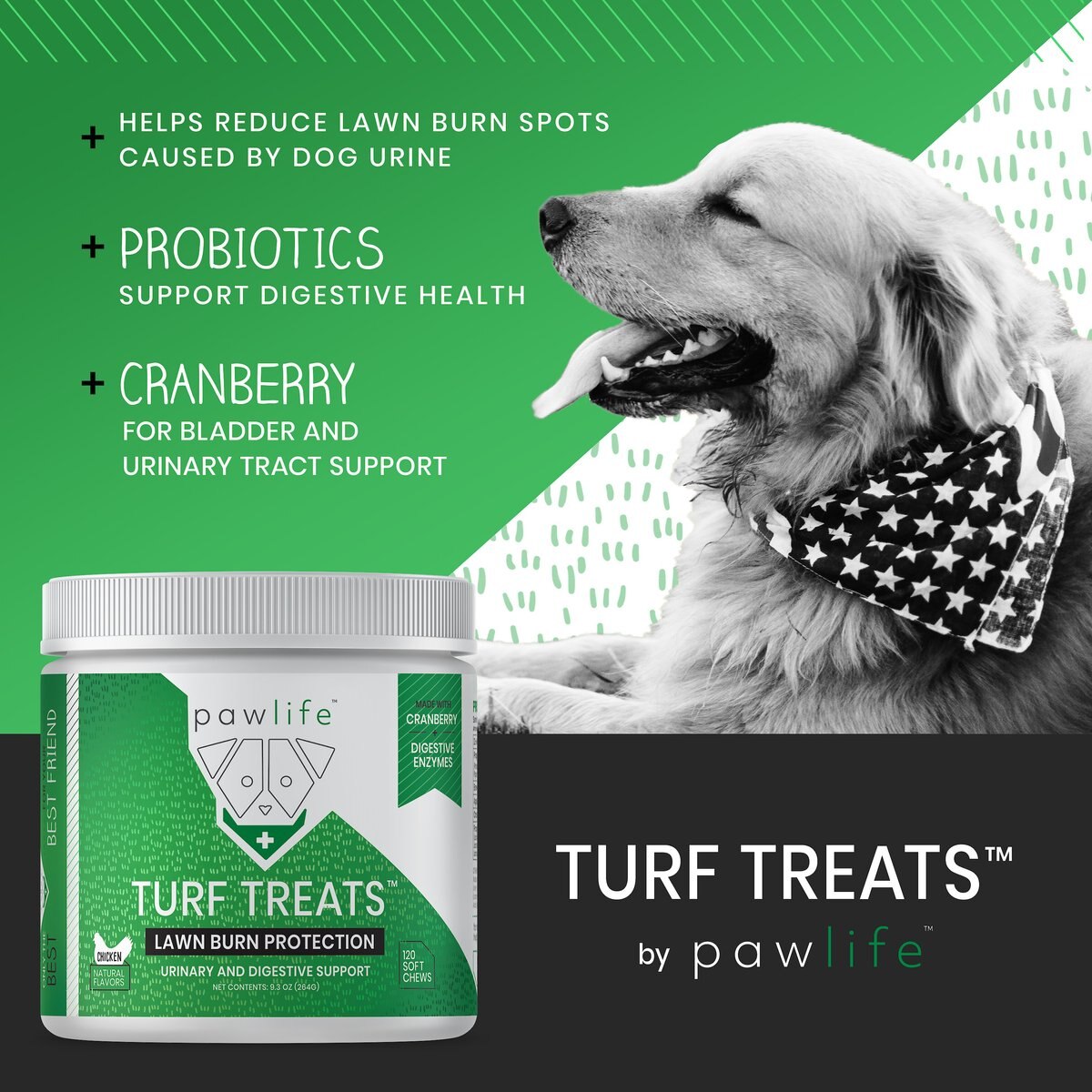 Pawlife Turf Treats Lawn Burn Protection Urinary and Digestive Support Chicken Flavor Soft Chews Dog Supplement， 120 count