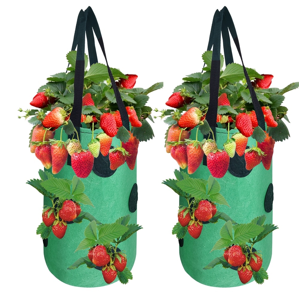 Agfabric Hanging Strawberry Bag，Upside Down Planting Pots for Tomato 3gal 2 Pack green   3gal