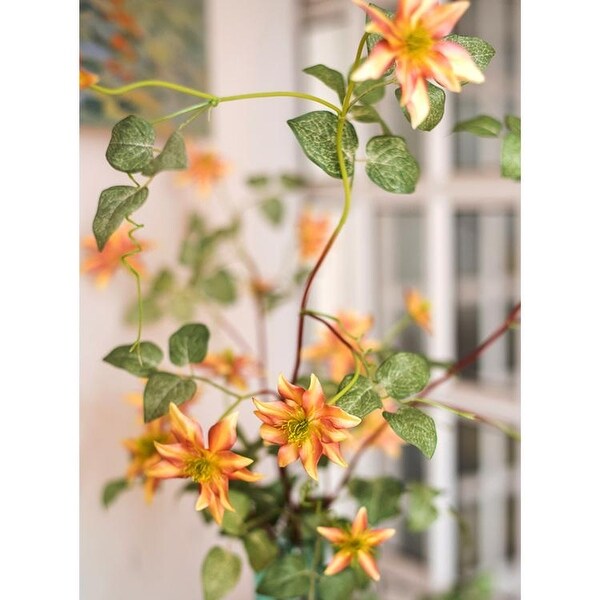 RusticReach German Clematis Flower Stem in Orange 40 Tall