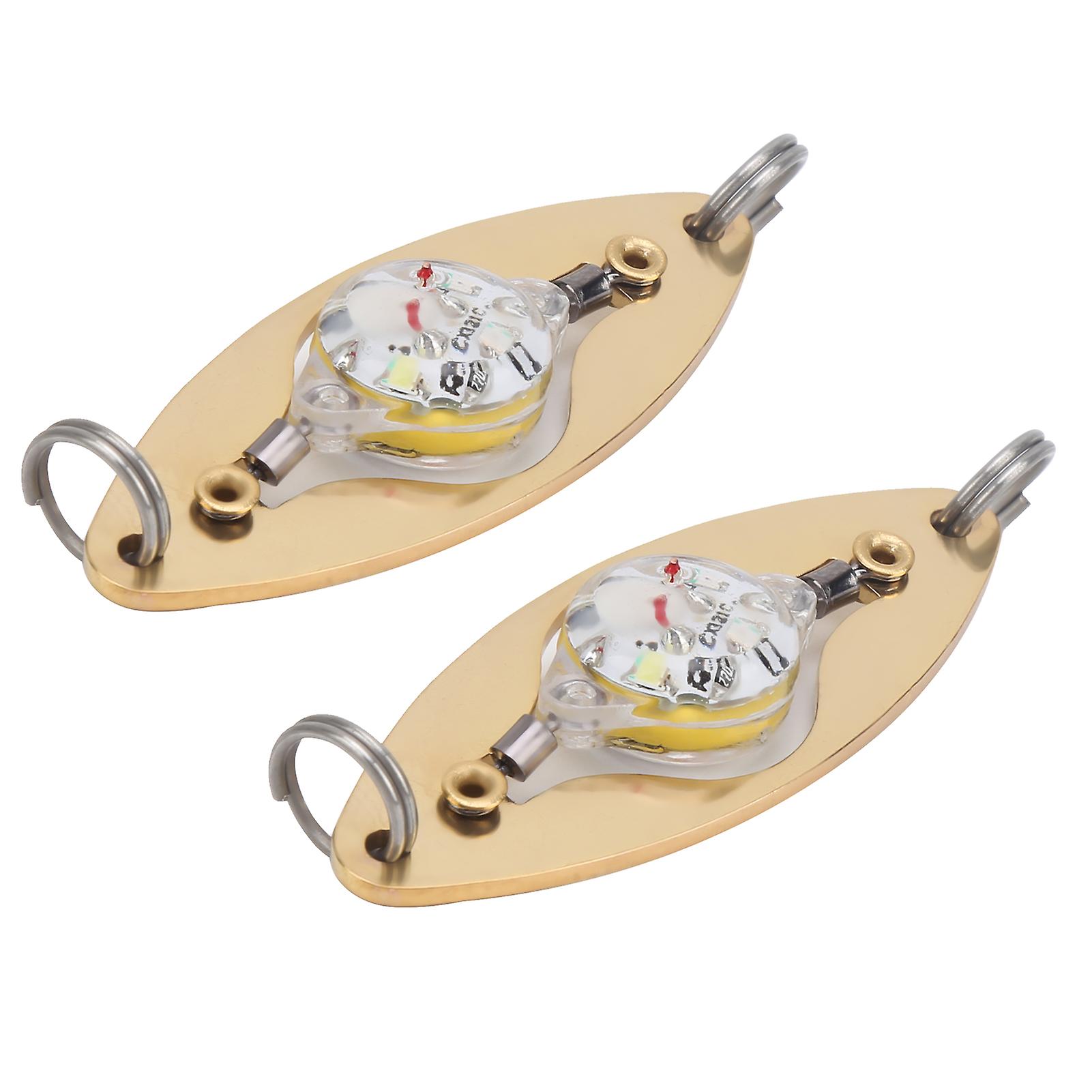 2pcs Fishing Led Lure Light Eye Shape Colorful Flashing Light Bait Underwater Lure Lamp