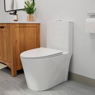 BTCSTAR Clea Rough in 12 in. 1-piece 1.6 GPF Dual Flush Elongated Toilet in Glossy White Closed One Piece Toilet Seat Included BTCMTL0812WH