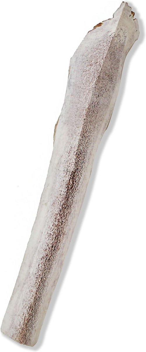 Prairie Dog Split Elk Antler Dog Chews， 9.5 - 10.5 inch